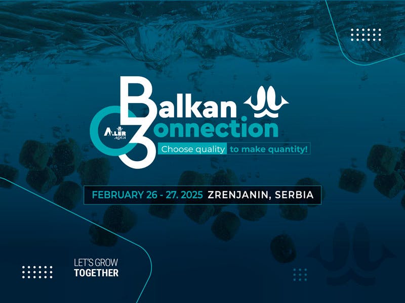 Aller Aqua Balkan Connection 3 event 2025_banner_event article