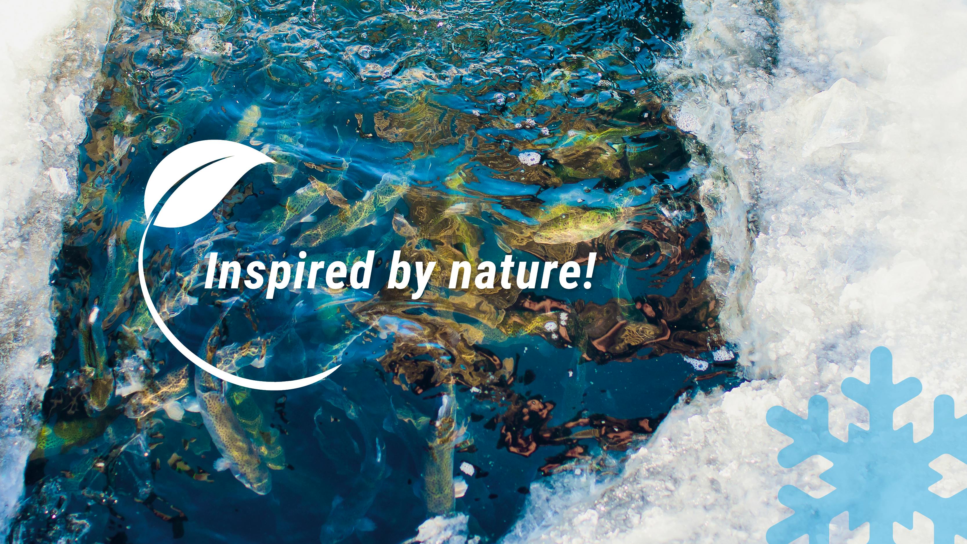 Aller Aqua TAF concept_Temperature Adapted Feeds_hero_Inspired by nature