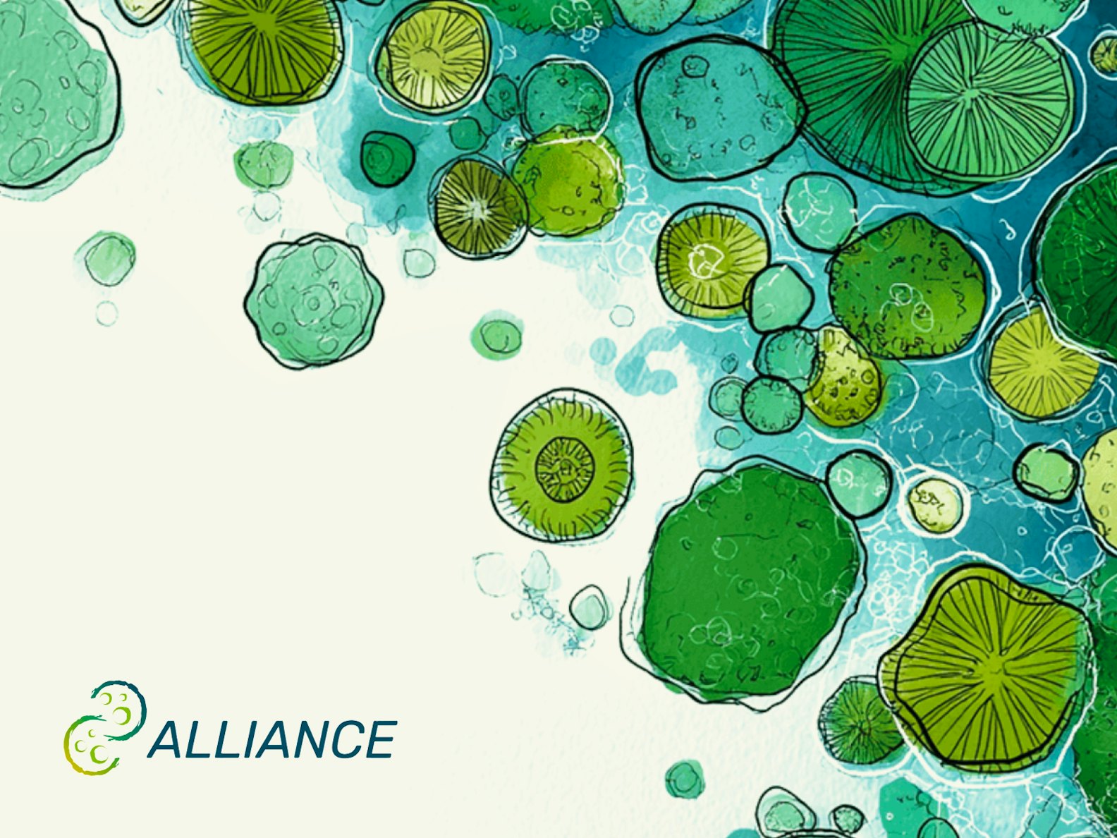 Aller Aqua Research - Project Alliance