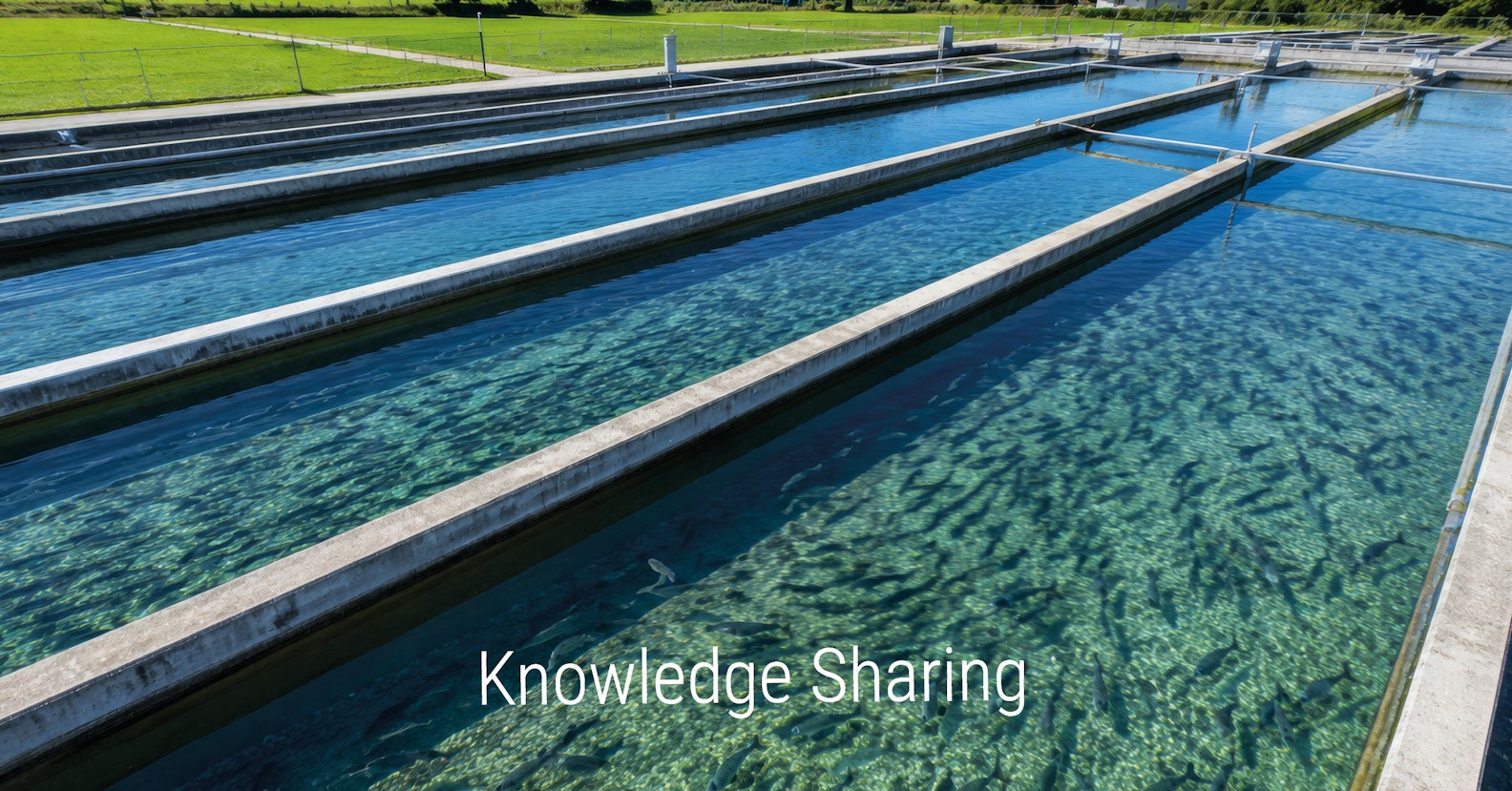 Aller Aqua knowledge sharing - trout farm
