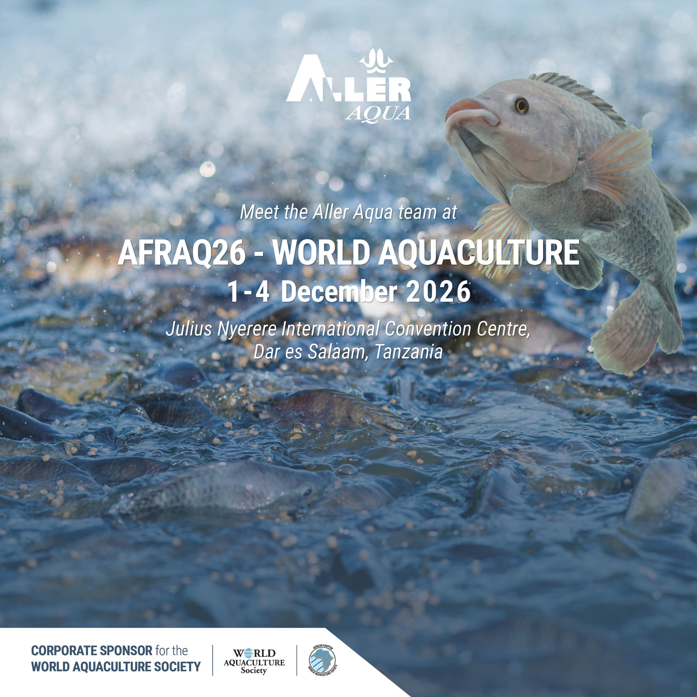 Aller Aqua Supports Africa’s Aquaculture Growth | High value aquafeed