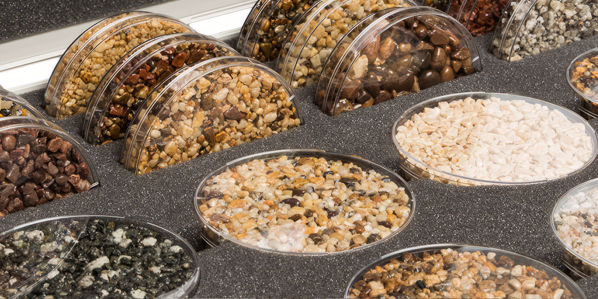 plant, food, produce, grain