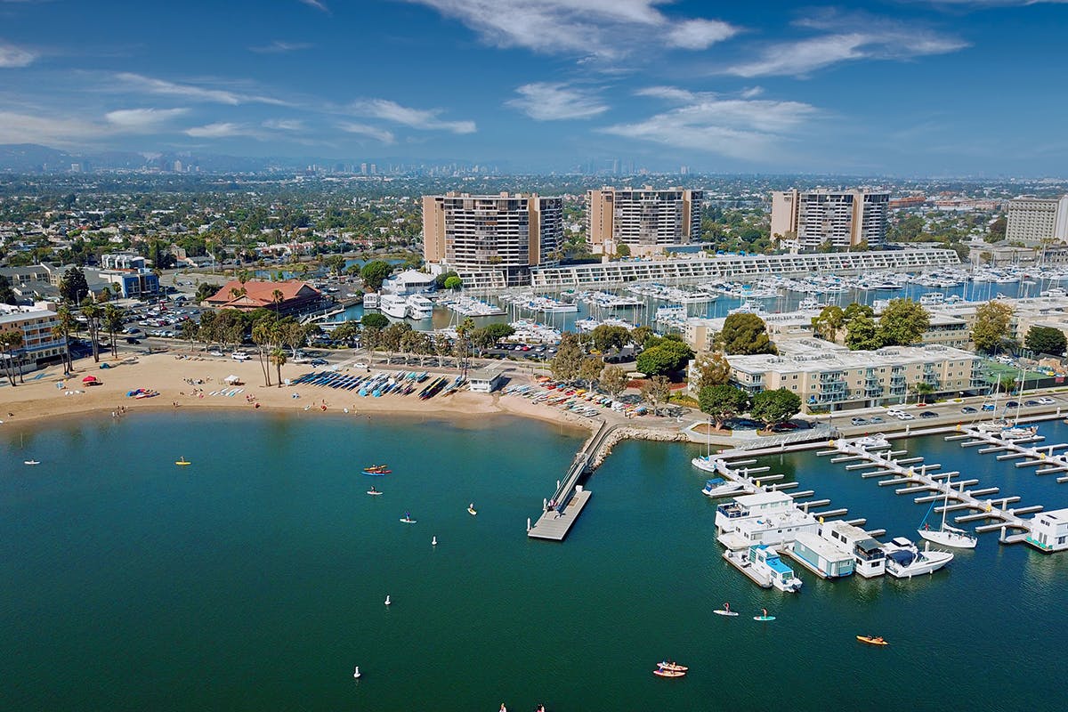 view of a marina with boats and buildings in the background