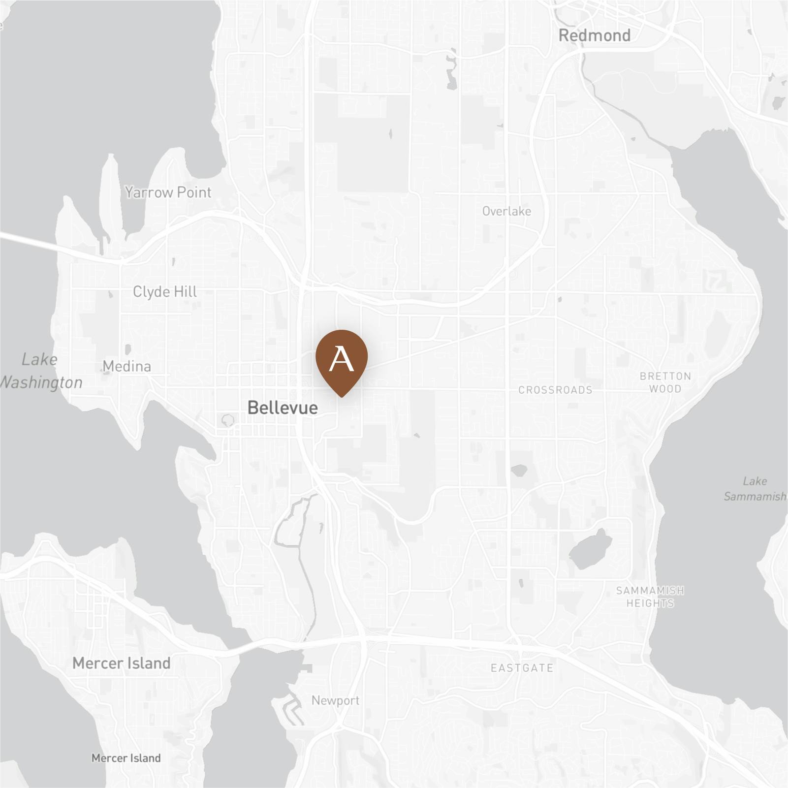 map of Bellevue