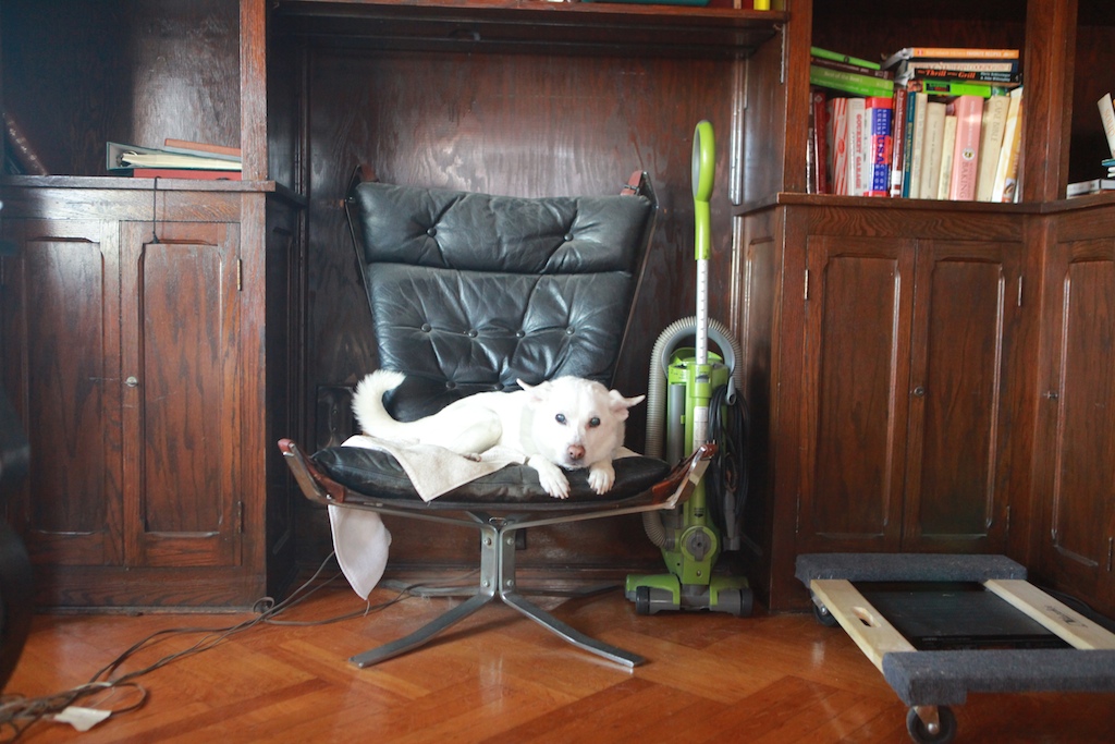 gladstien house 3.jpg