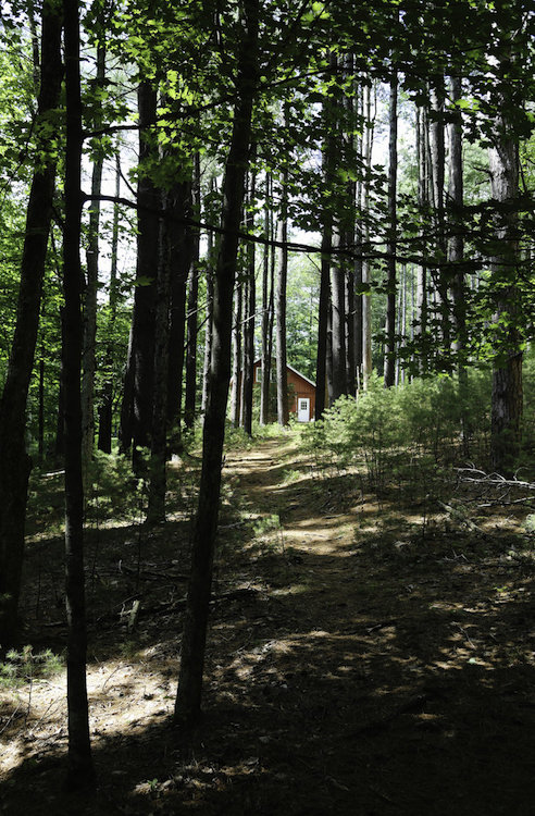 3220-woods_4.jpg