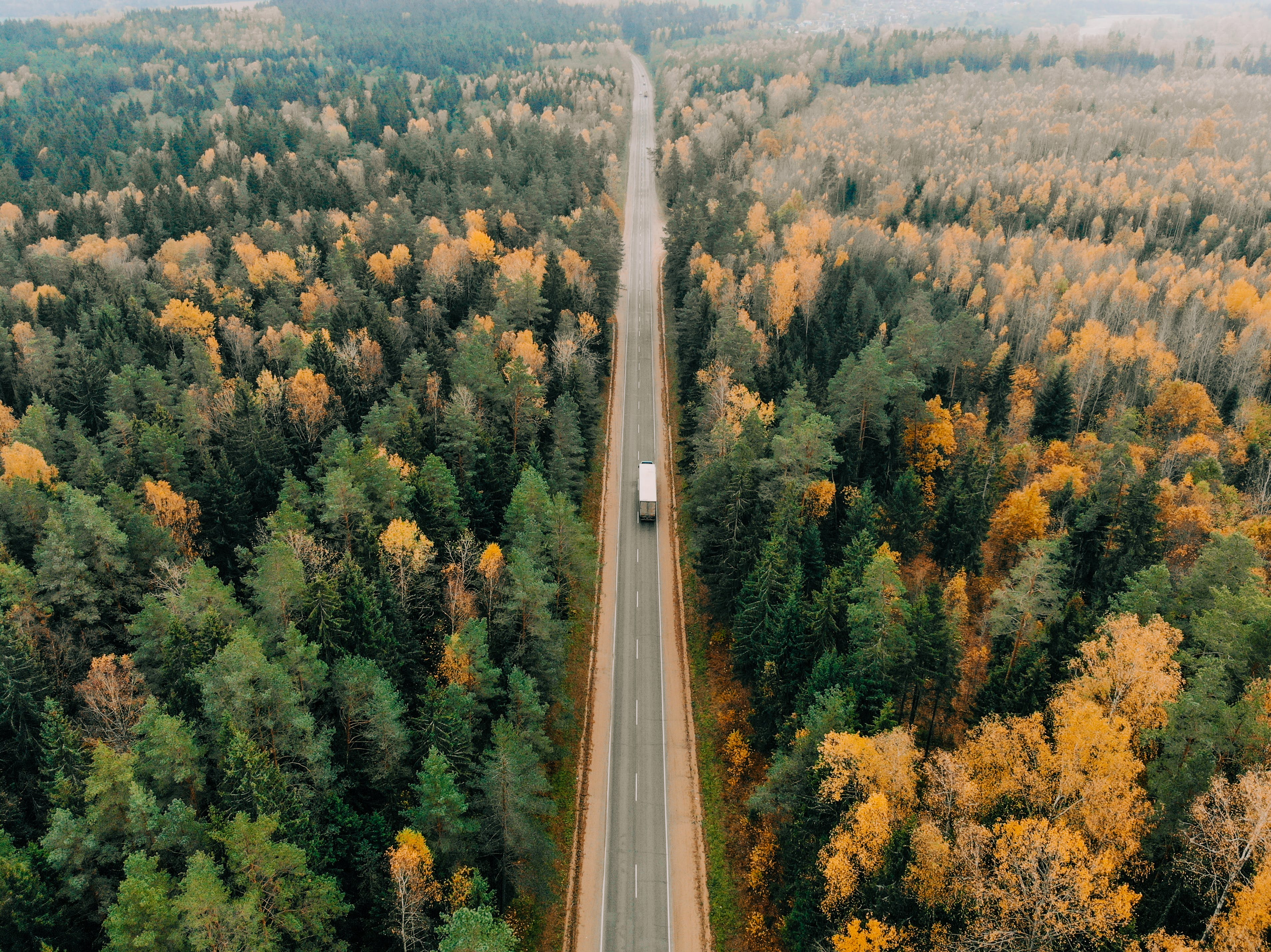 A straight road with surrounding forrests from a birds eye view.