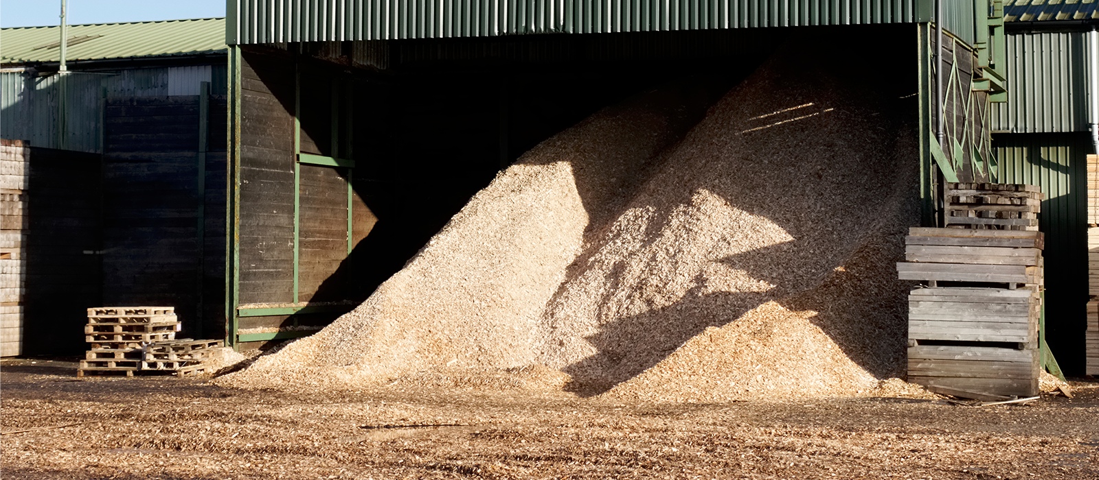 Image of sawdust in storage.