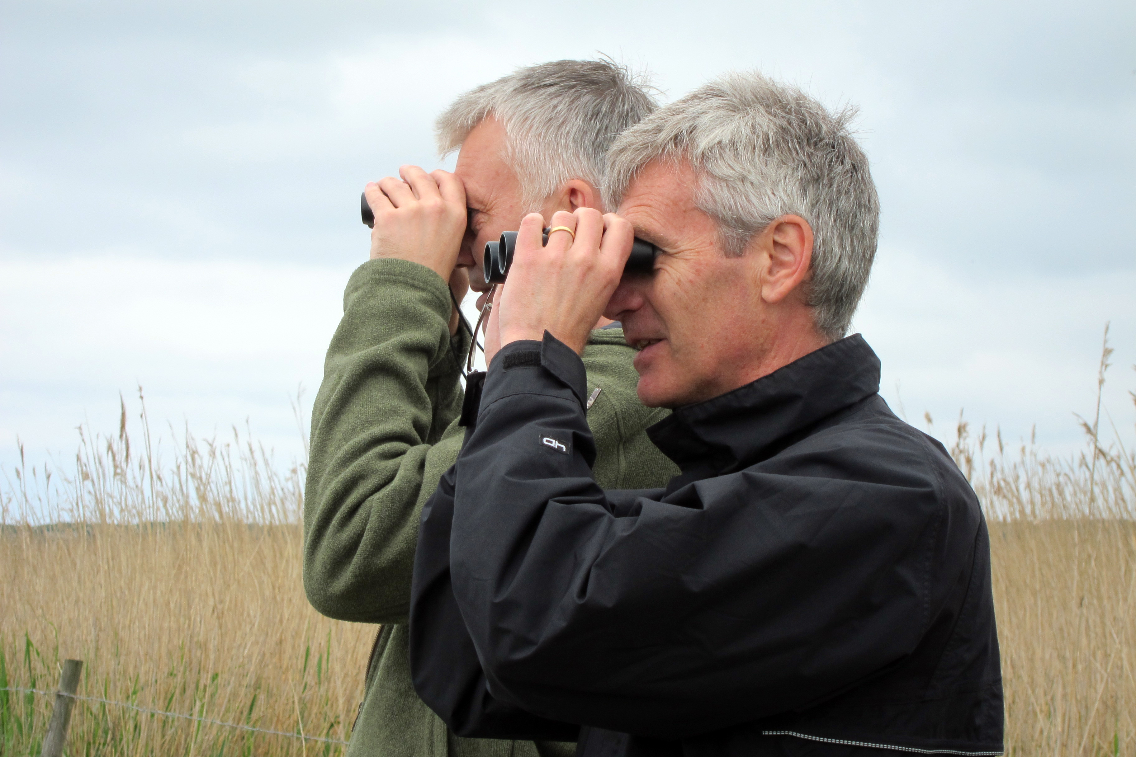 Johan Sundberg och Håkan Sköldberg.