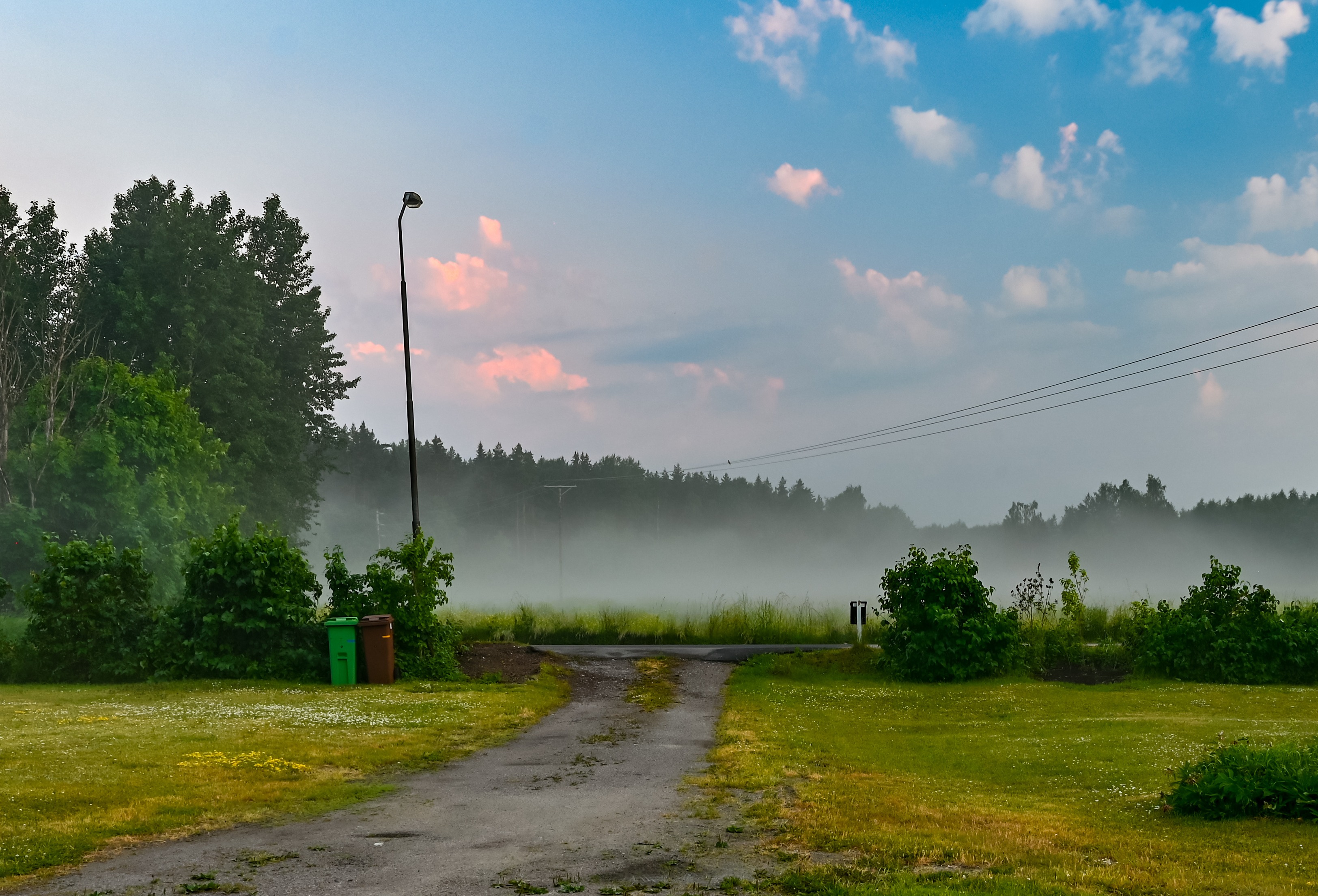 Avfallkärl på sommaräng