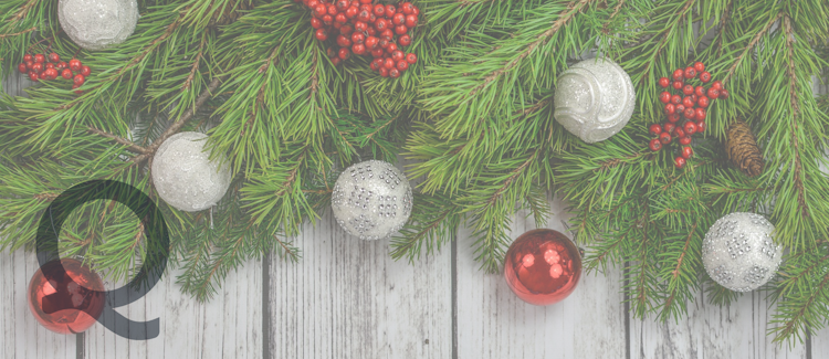 Quest Appliances Christmas Gifts