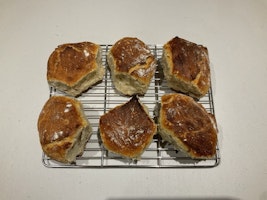 Freshly baked rolls cooling on a wire rack