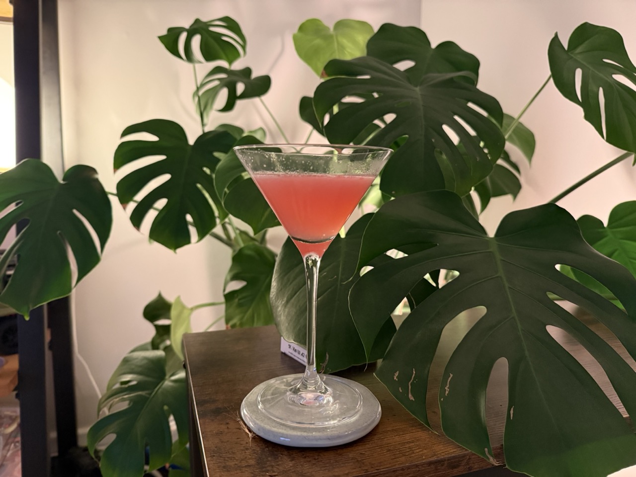 A glass of cosmopolitan in a martini glass in front of a plant