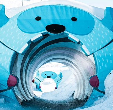 Insolite sur les pistes 