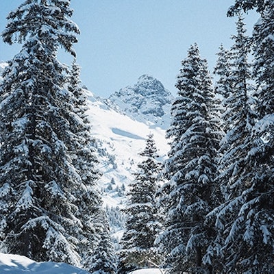 Meribel & Courchevel forest
