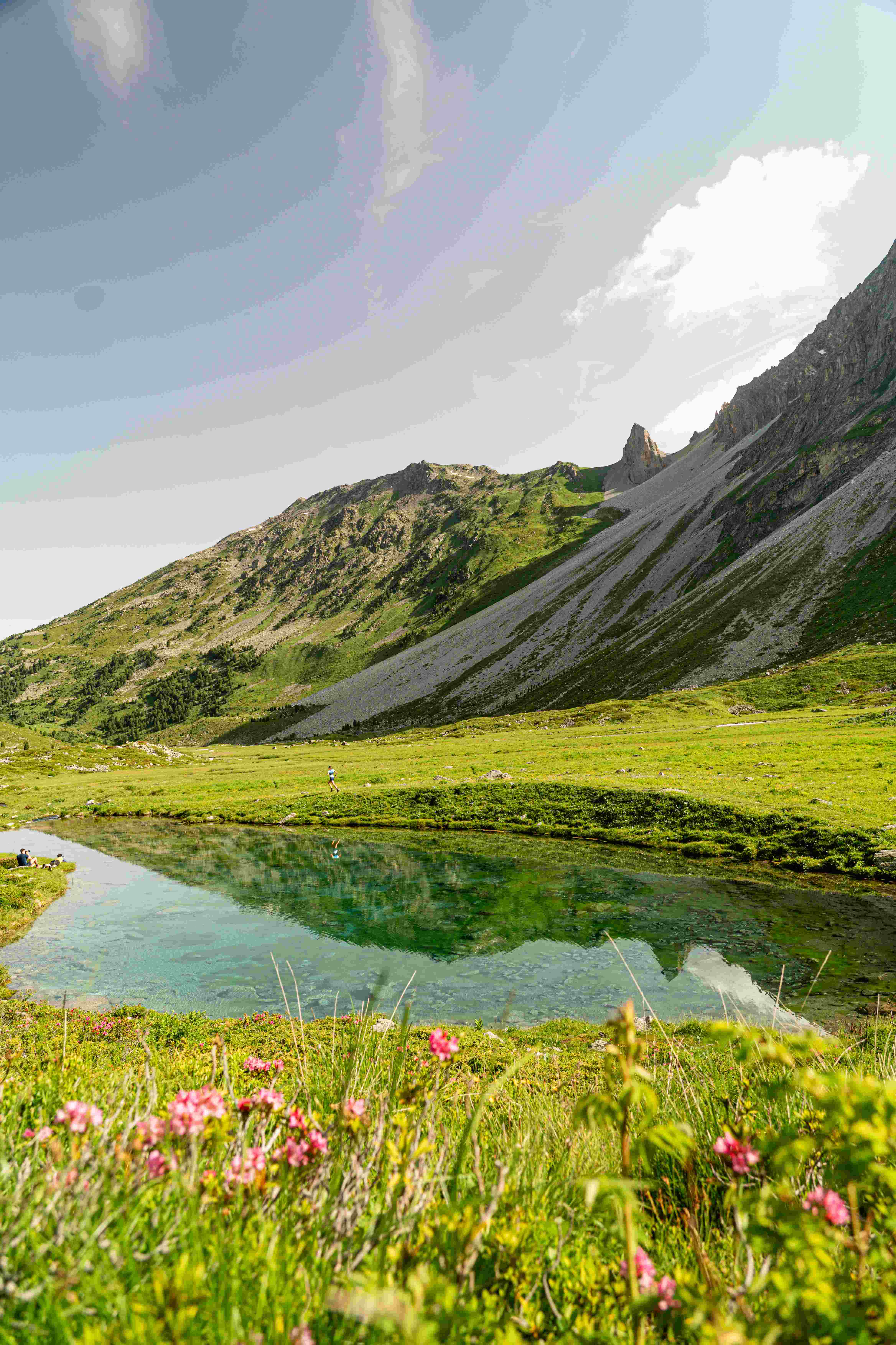 lac entouré de Montagne en été