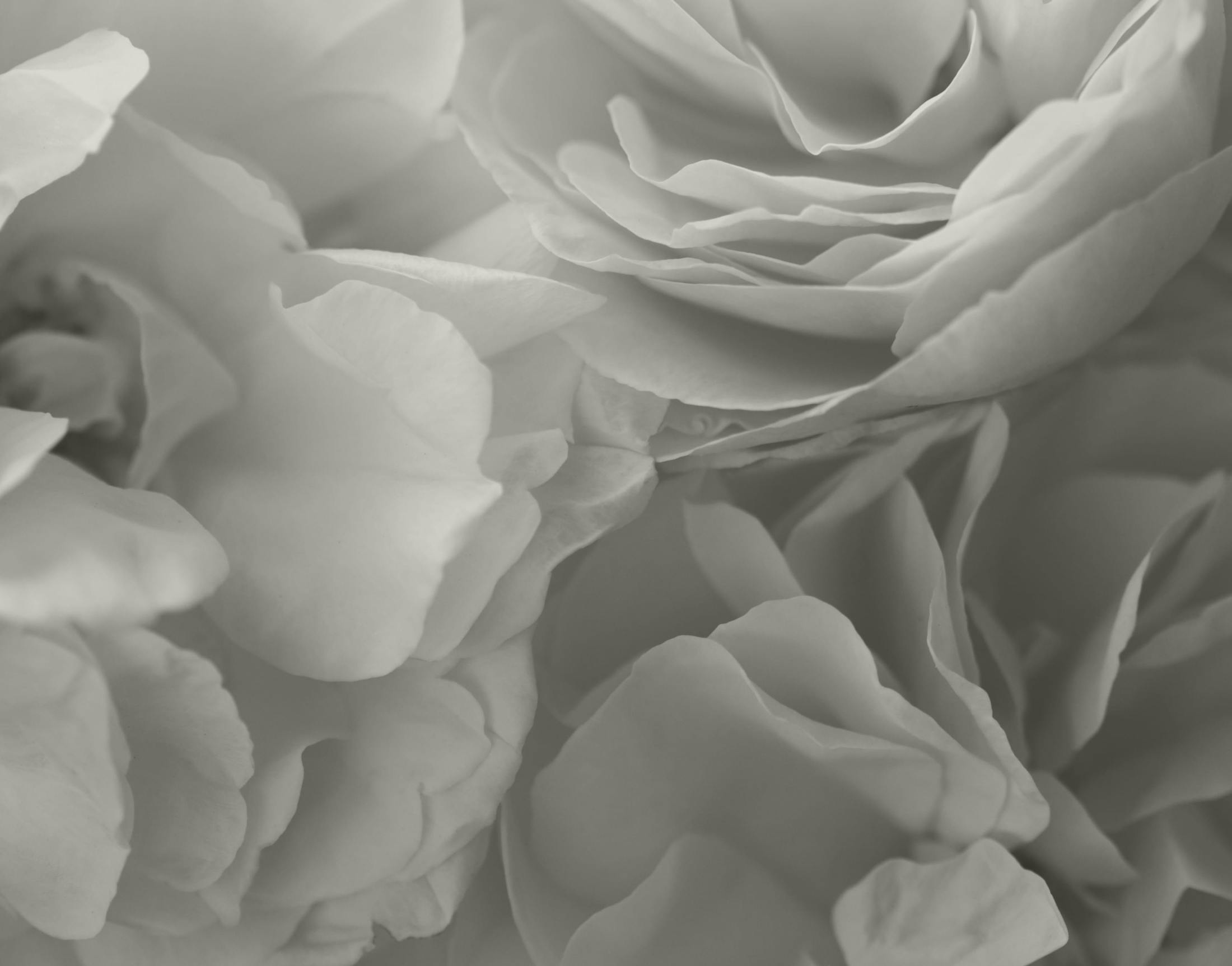 Background media