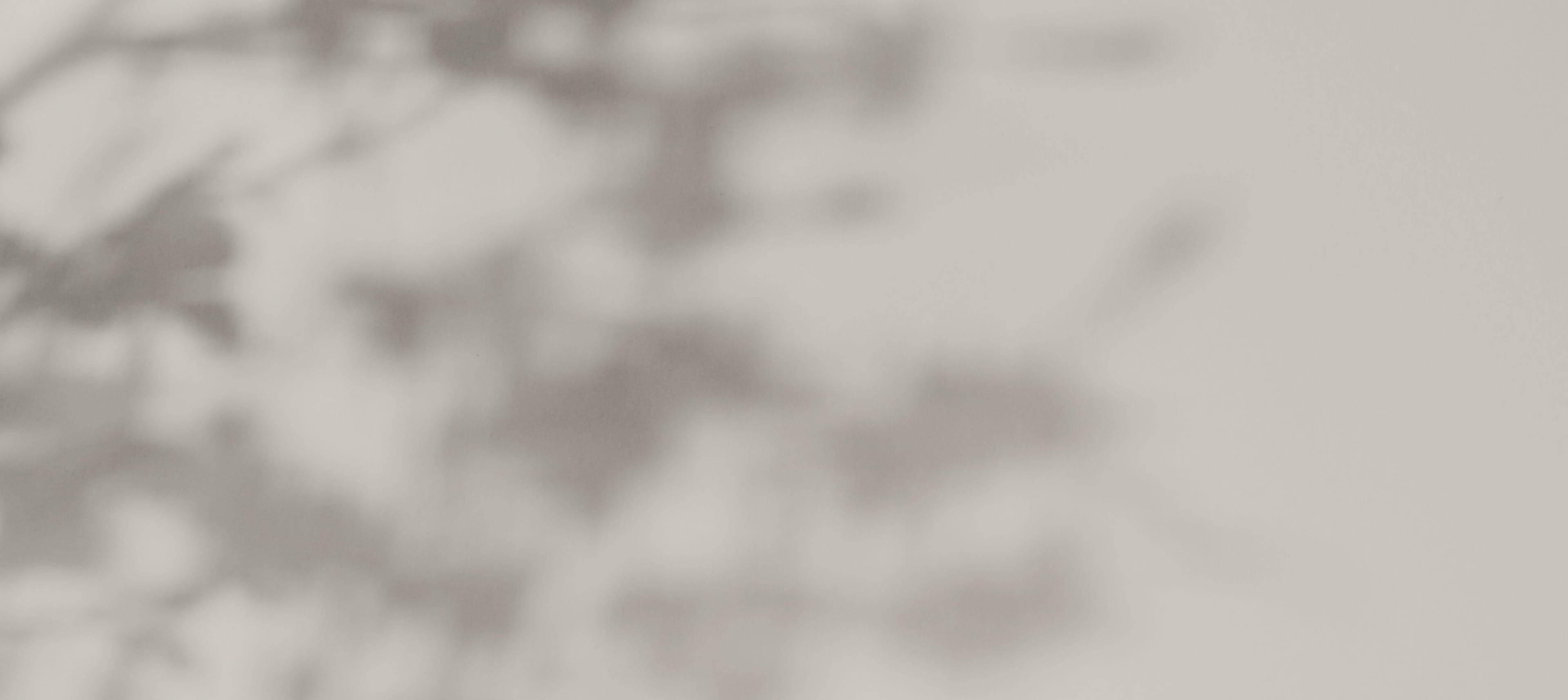 The Art of Plastic Surgery | Michael Lee, MD