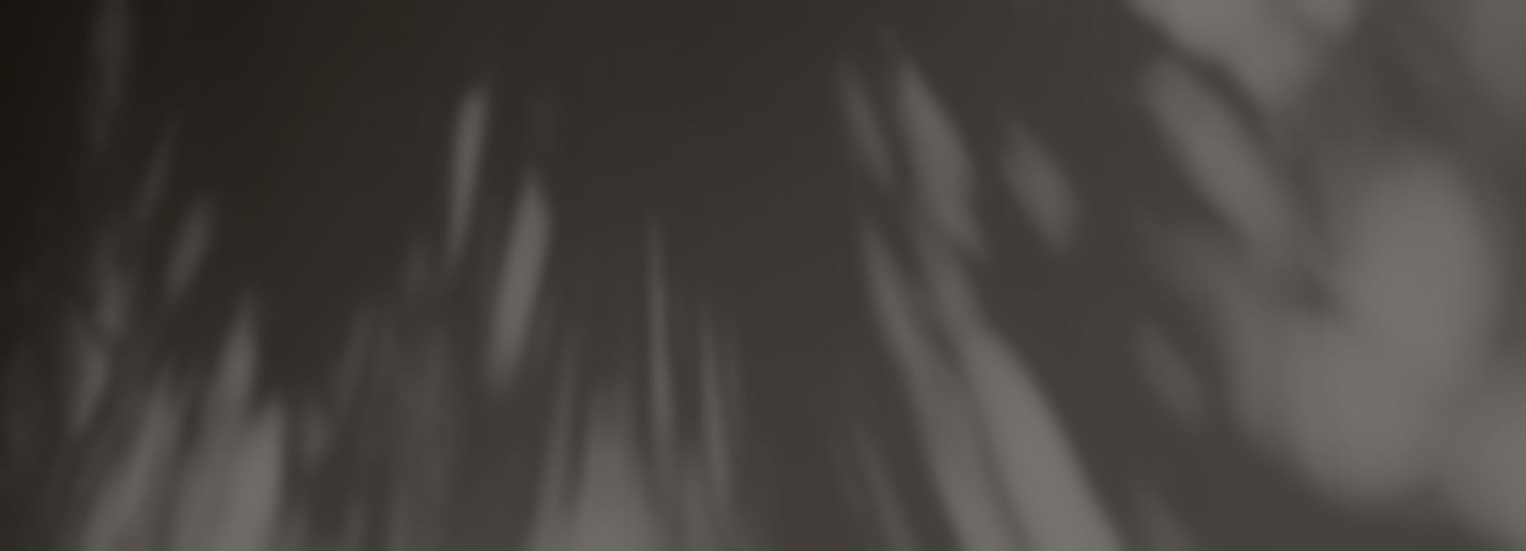 Footer media
