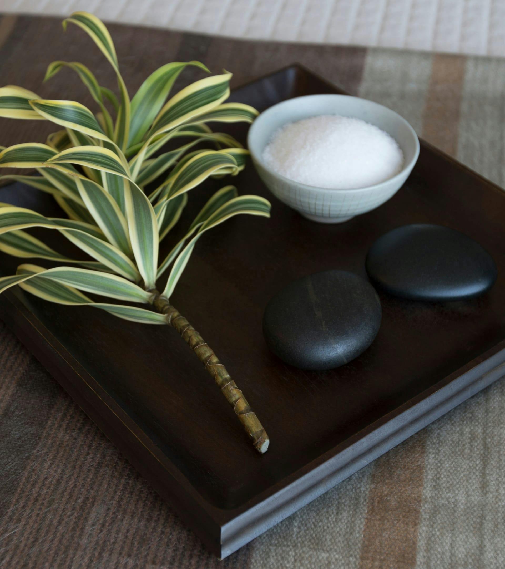 tray with 2 stones, a bowl of salt, and a plant