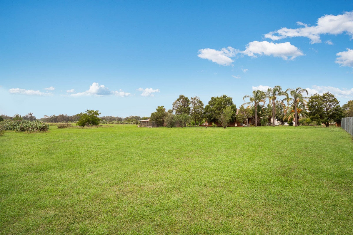 Image of grass