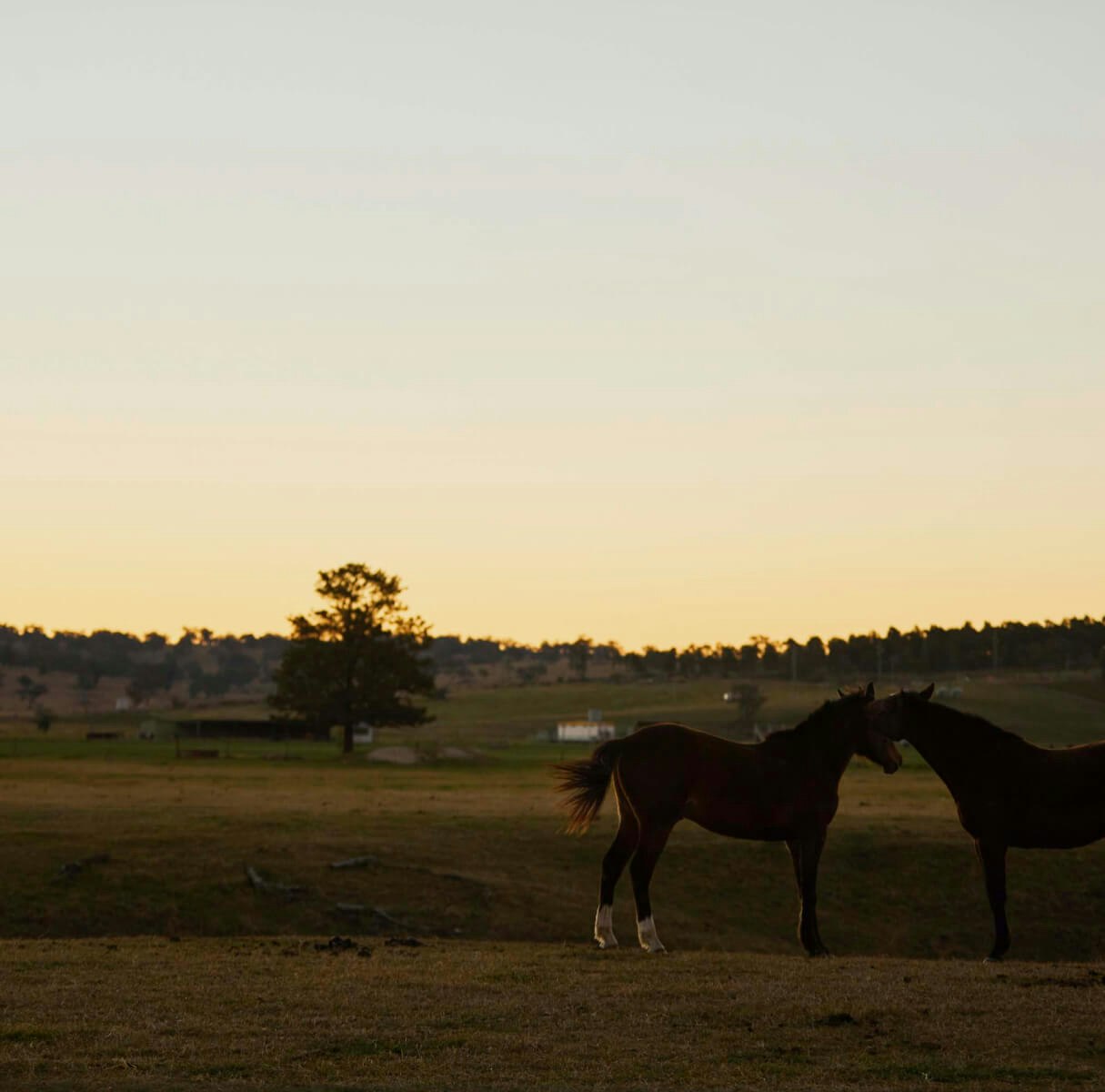 Image of field