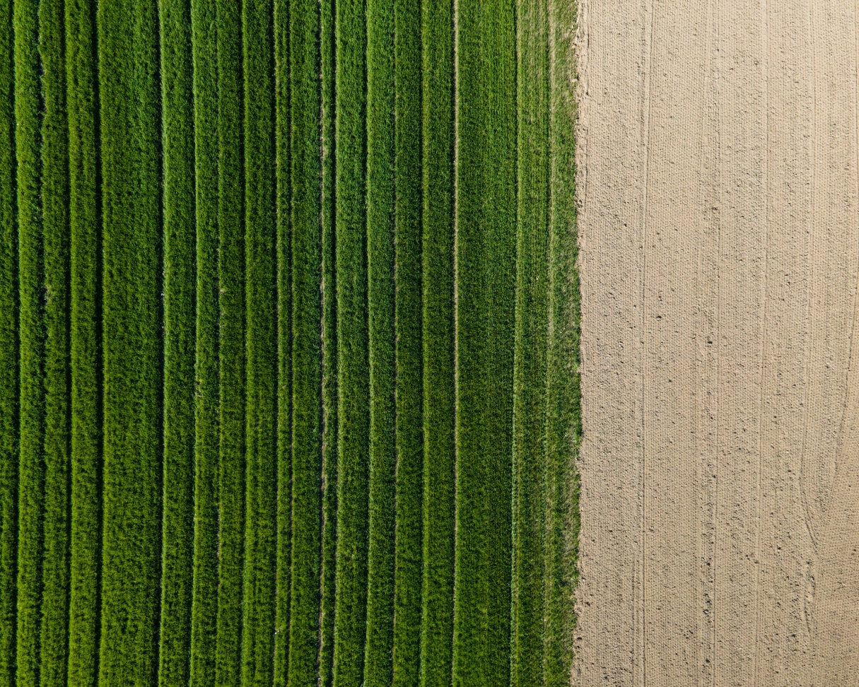 Image of outdoors