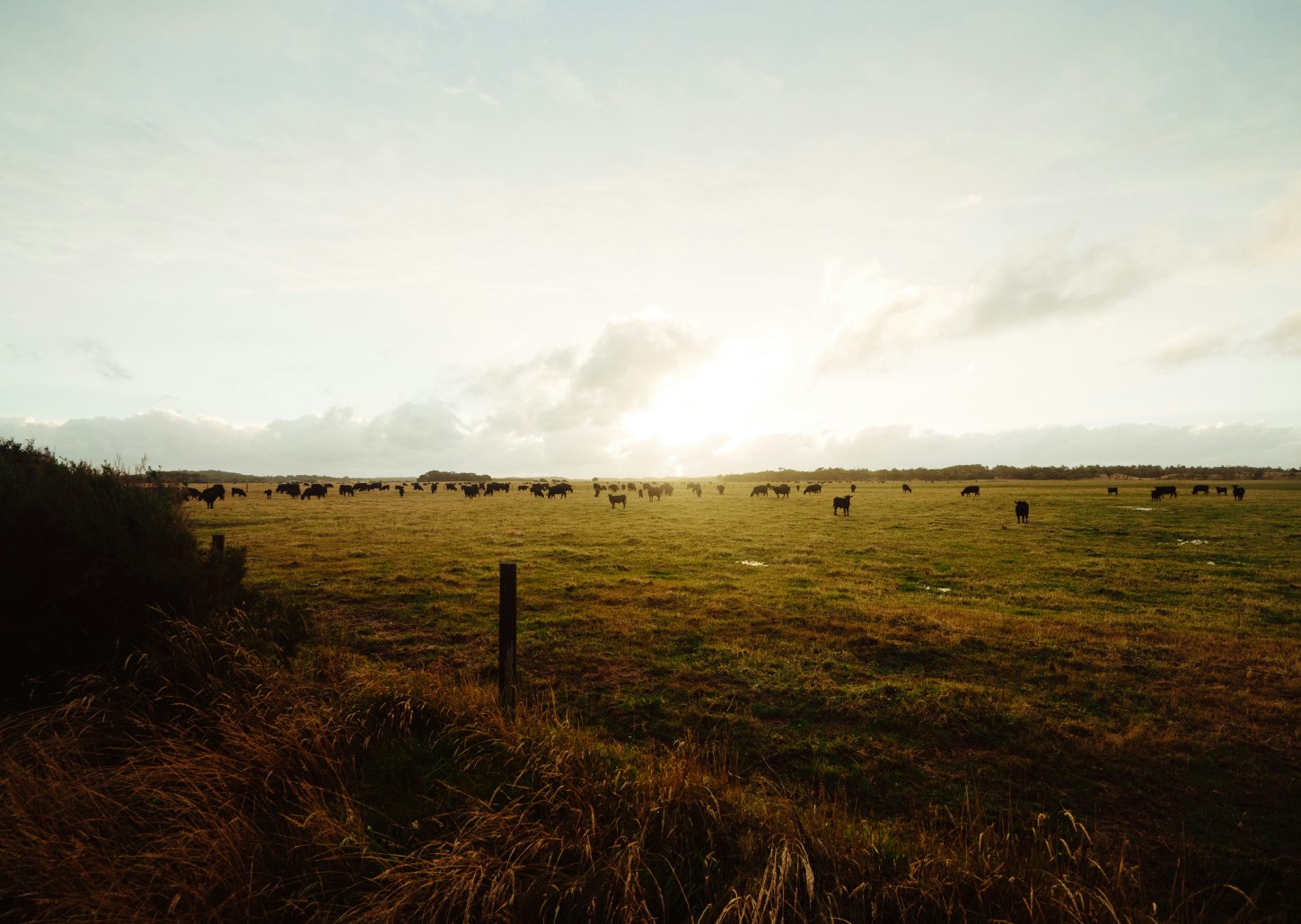 Image of countryside