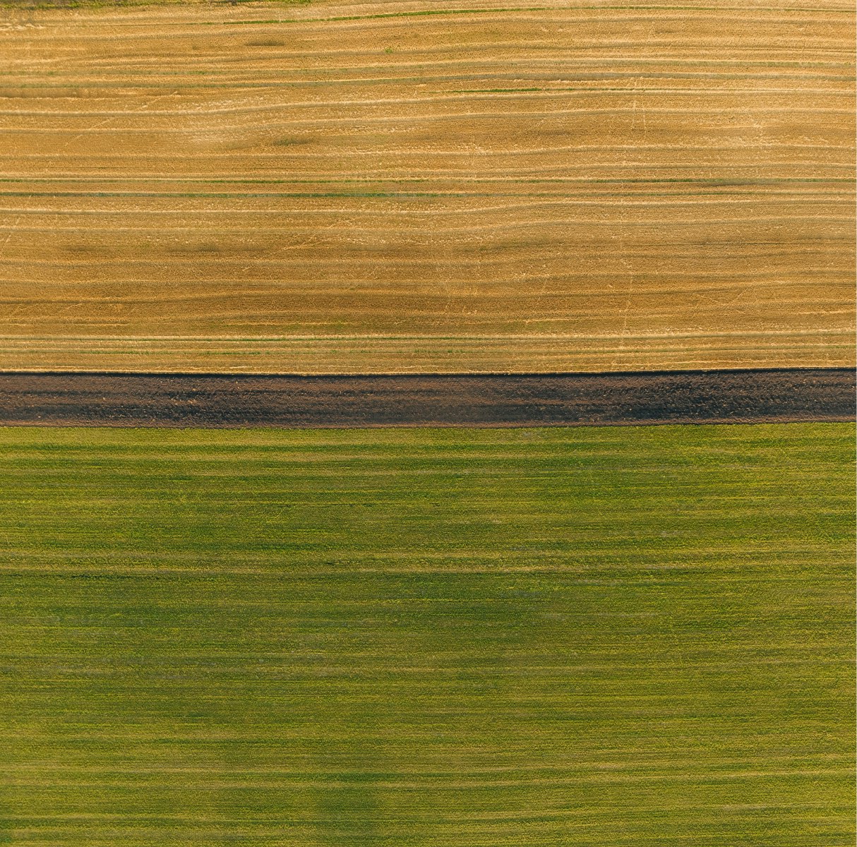 Image of nature