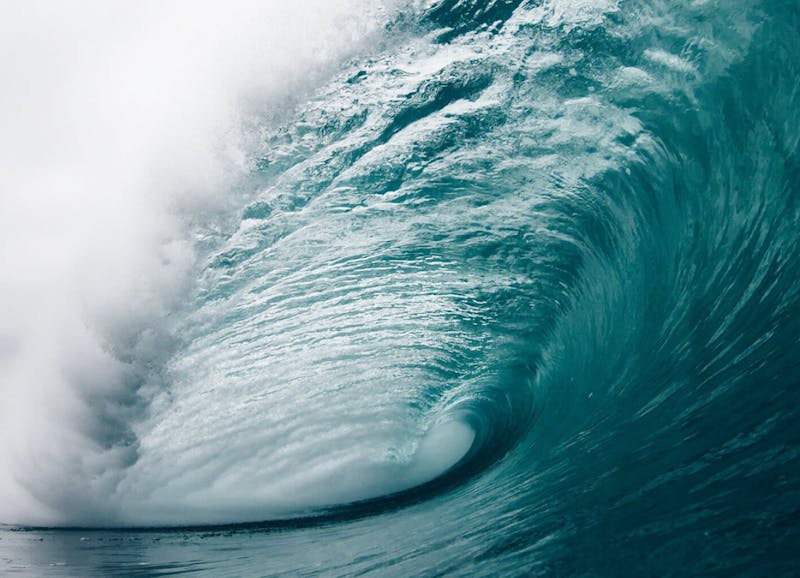 Better Off The Feed web design florida