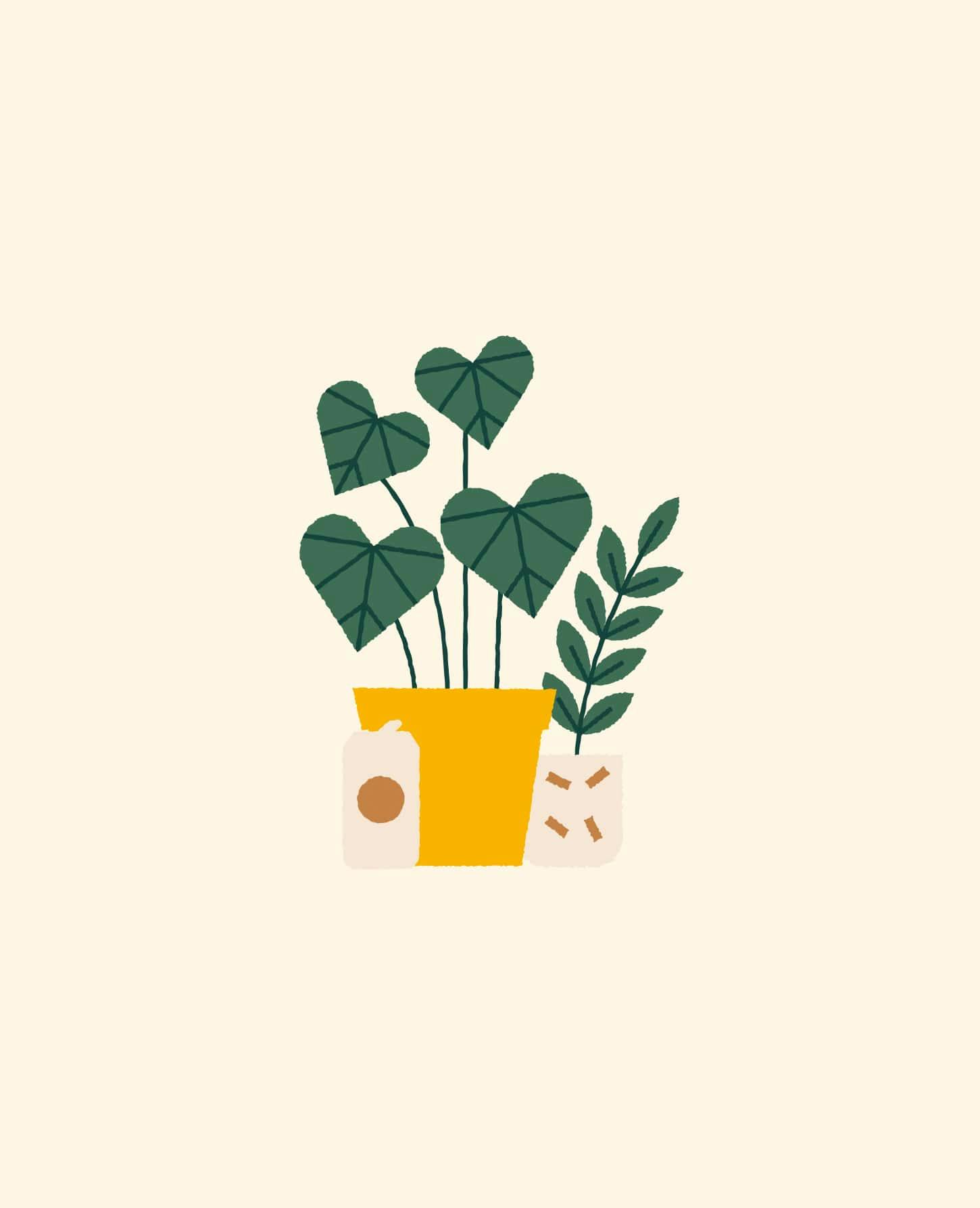 Better Off Watering content creation agency