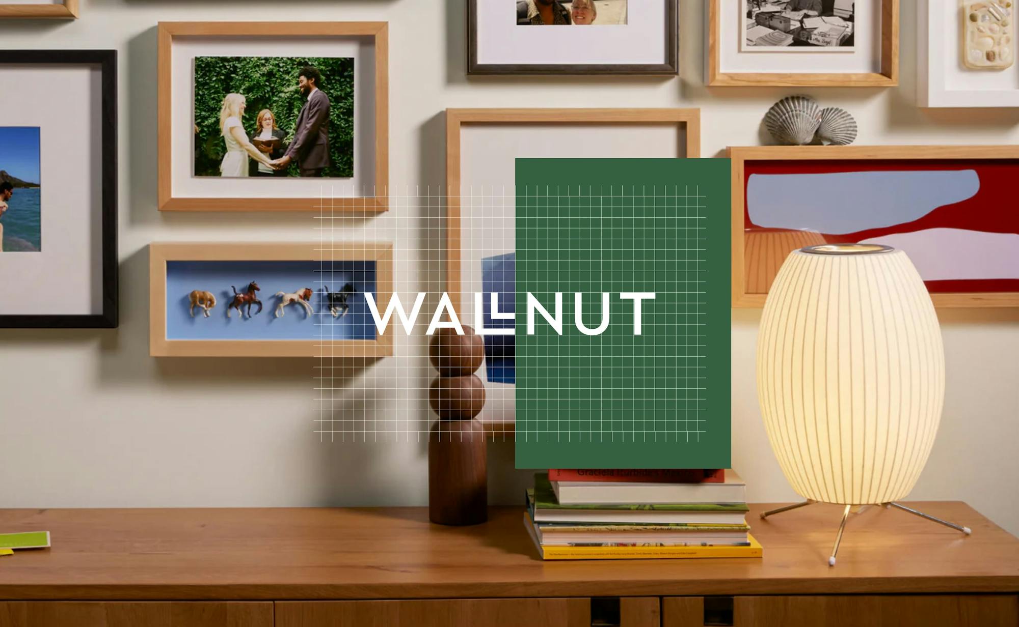 Wallnut ux ui design