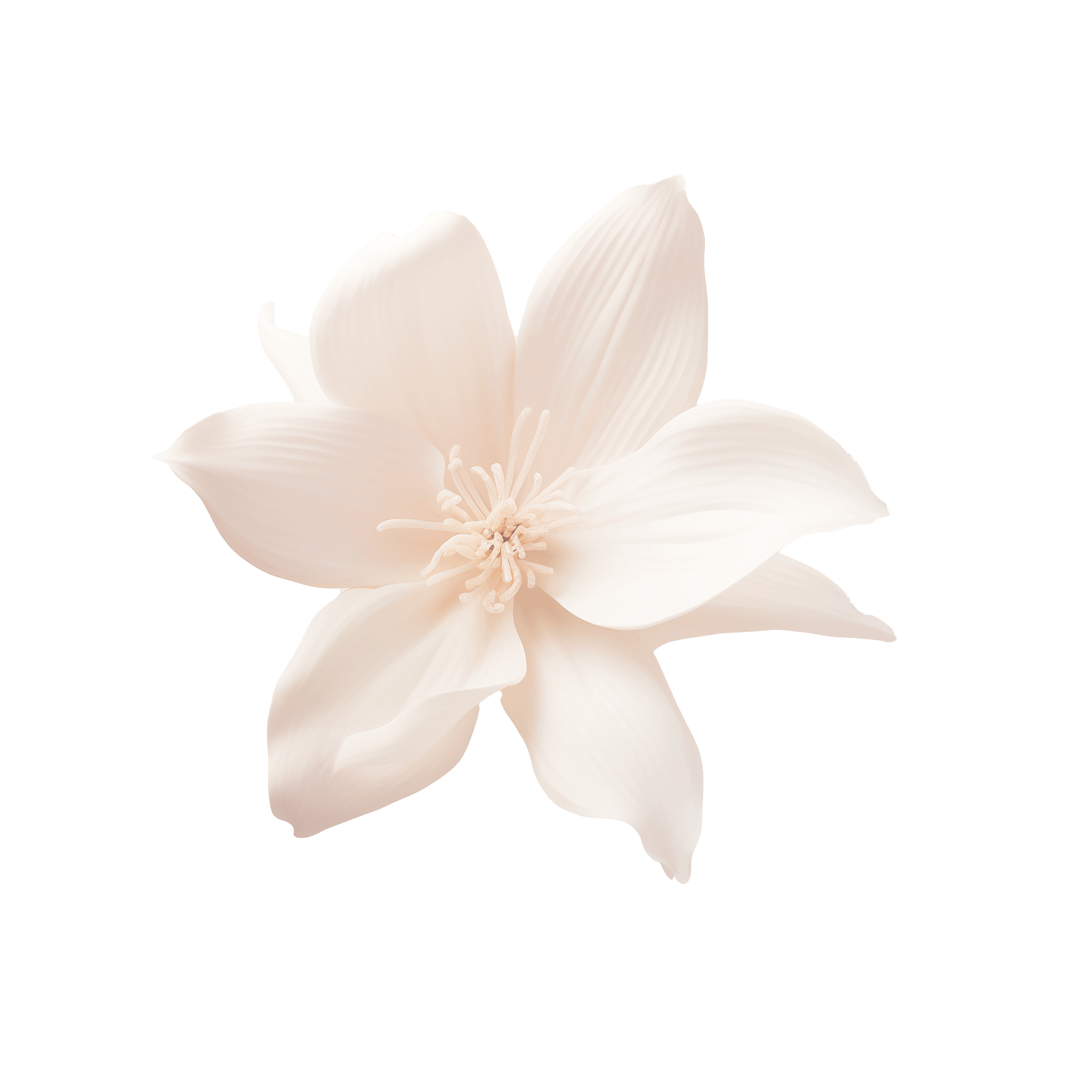 wiite bloem