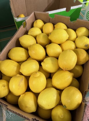 Lemon | Pacific Produce