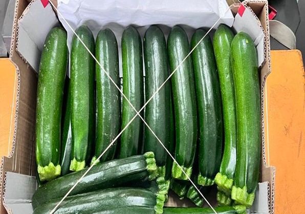 Courgette | Pacific Produce