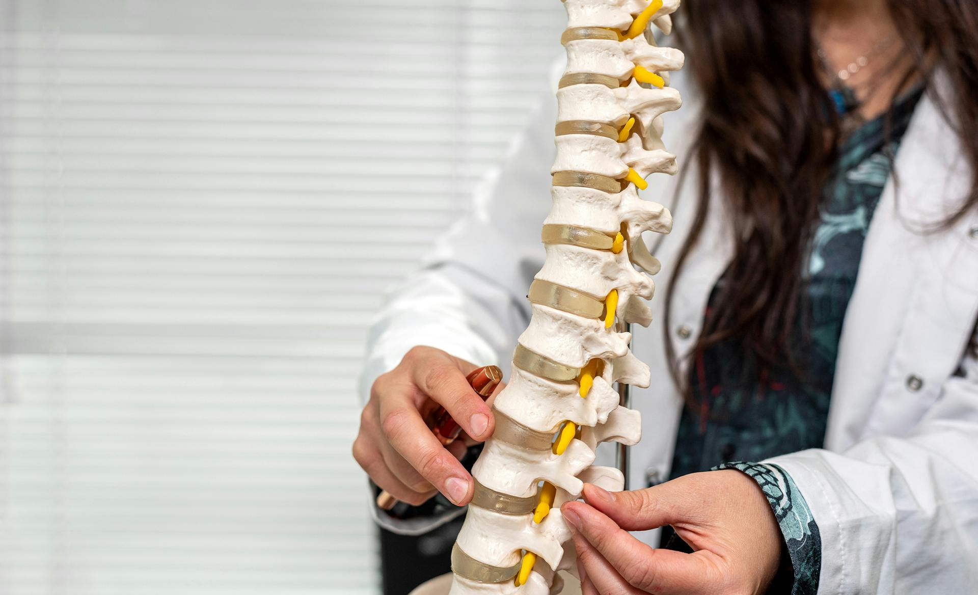 doctor demonstrating on plastic spine