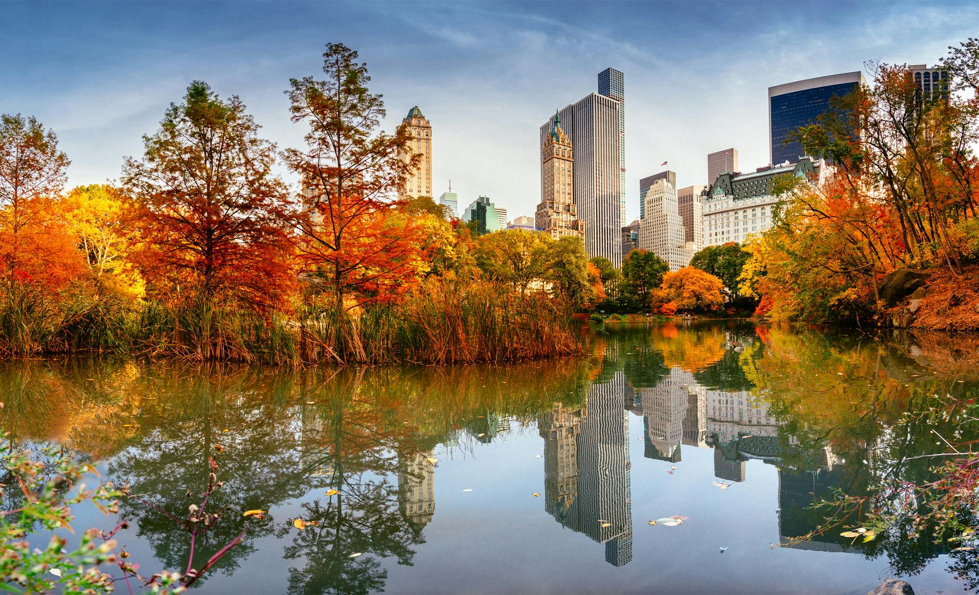 fall lakeside cityscape