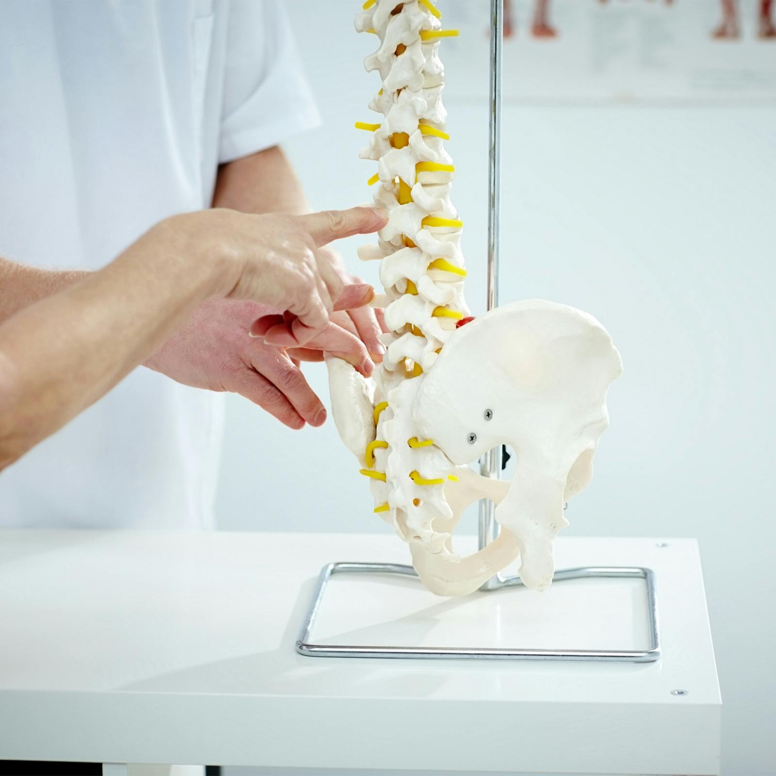 doctor demonstrating on plastic spine
