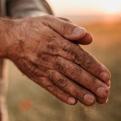 person's hands