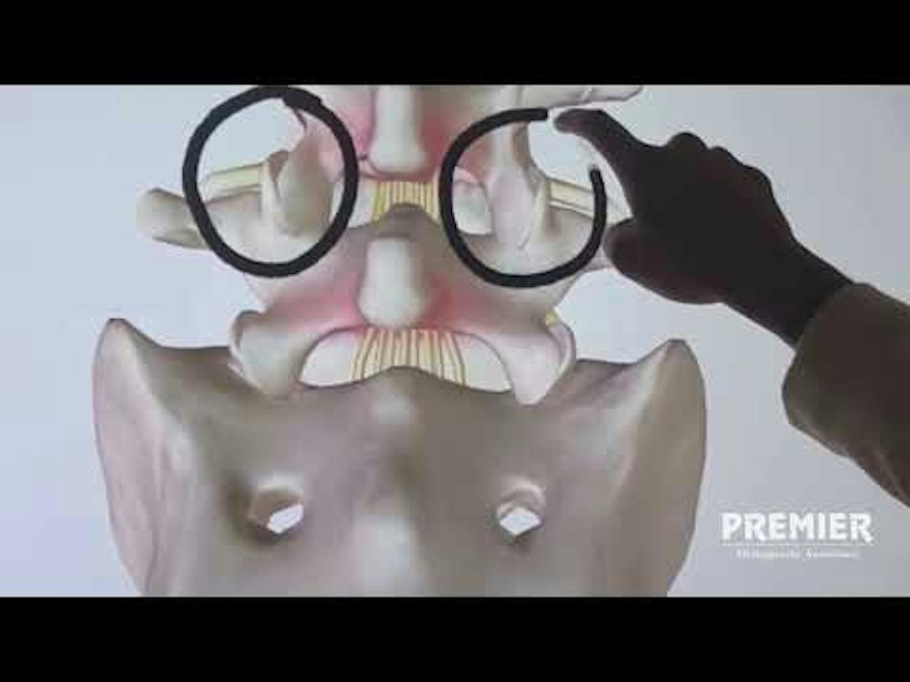 Premier Orthopaedic Associates