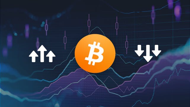 The Ebb and Flow of Bitcoin in Turbulent Economic Times