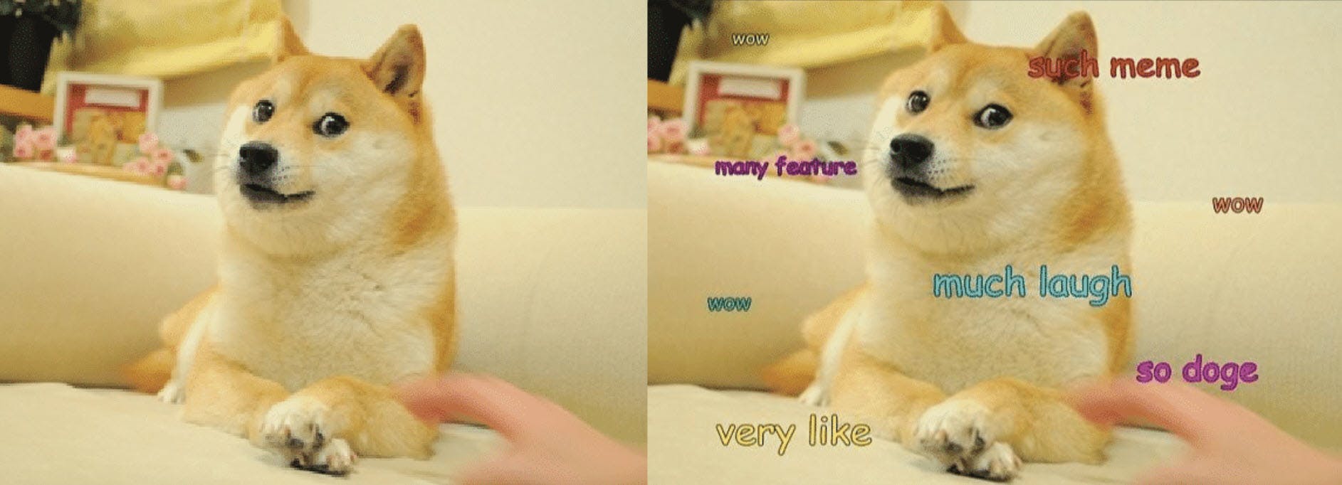 Original Doge Meme
