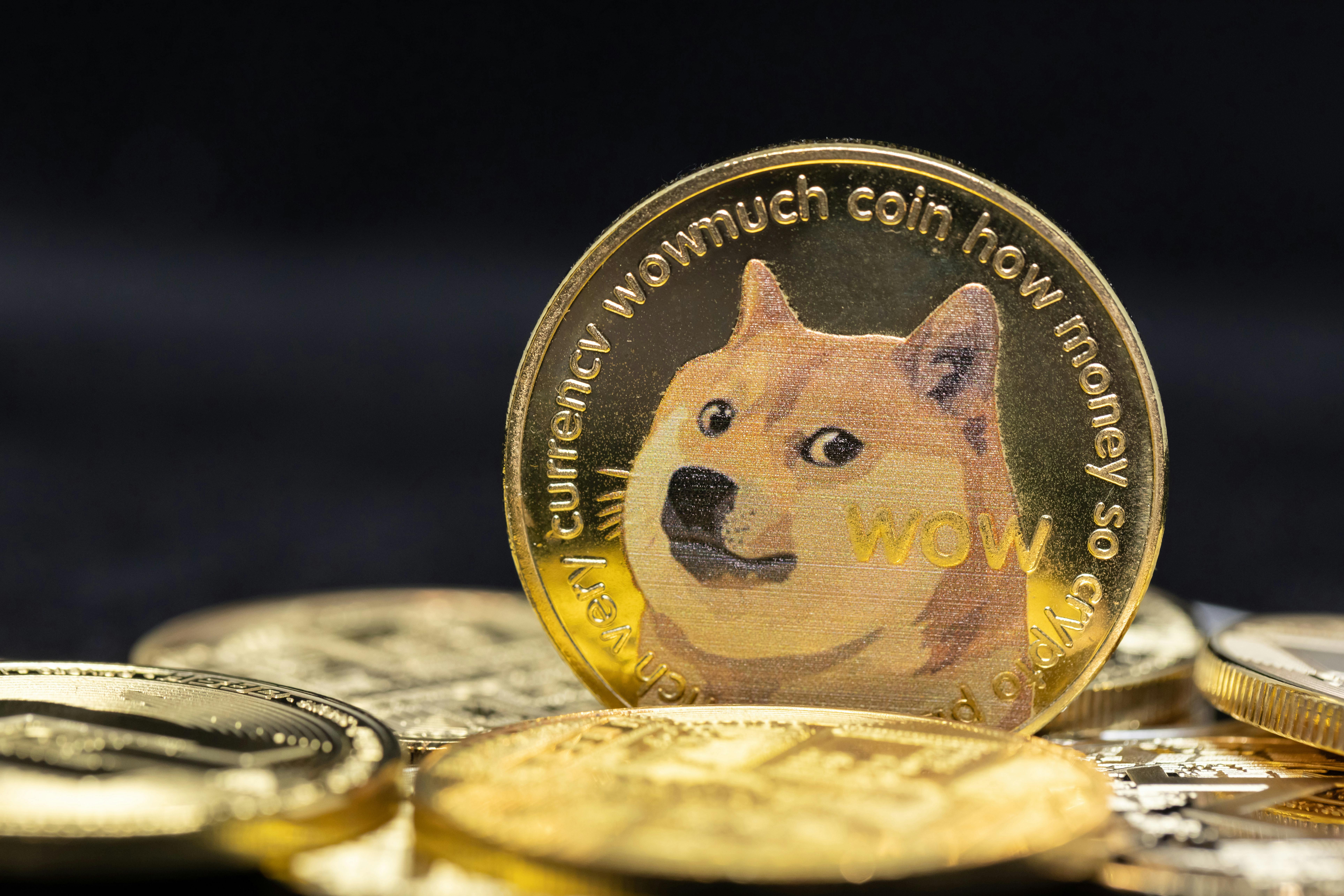 Dogecoin image