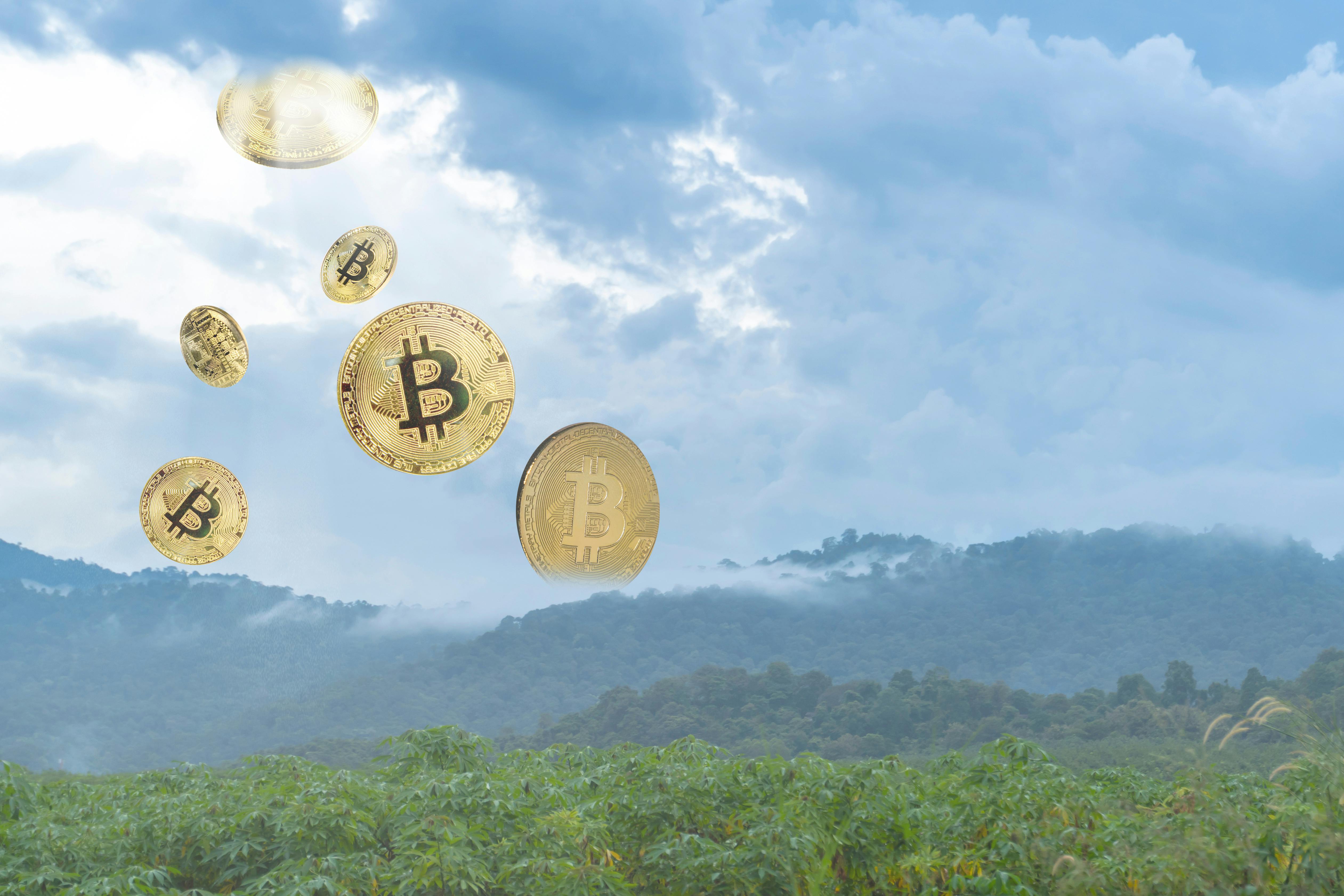 Crypto Airdrop