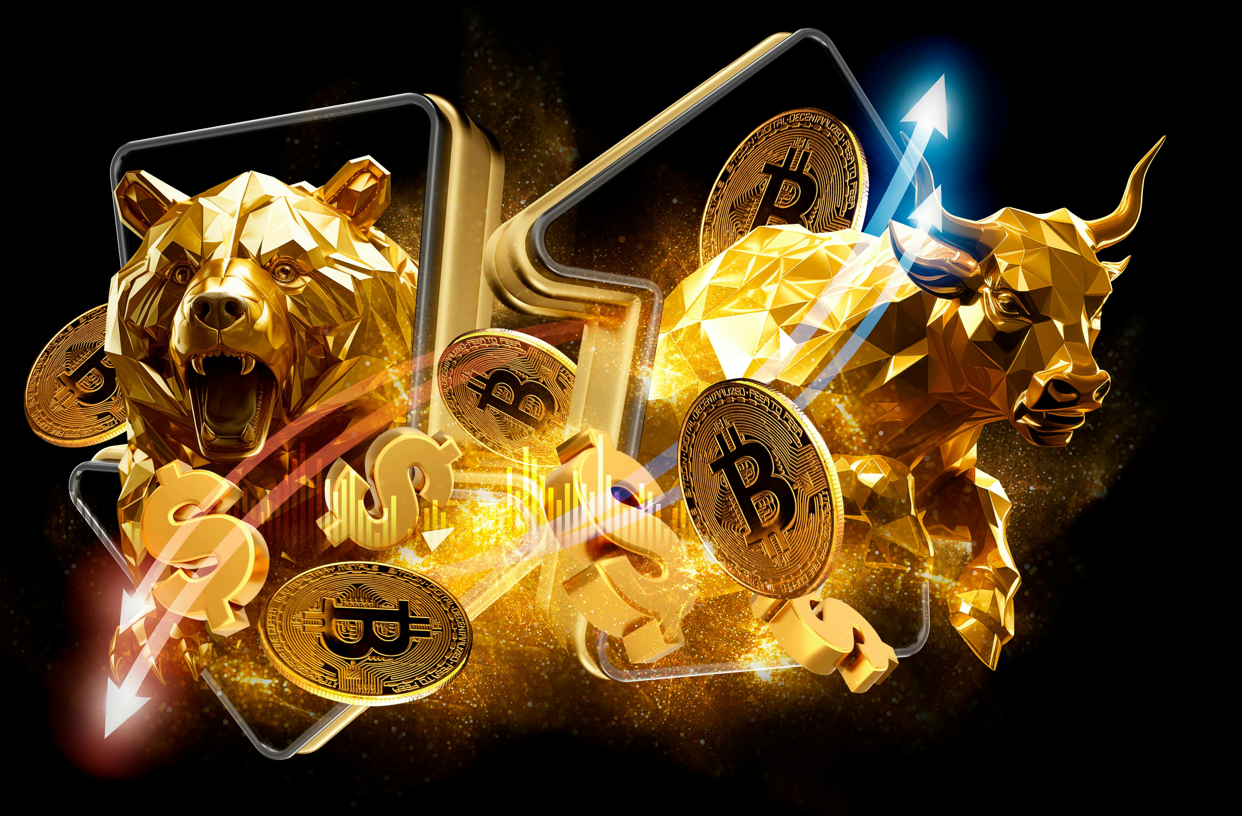 bear and bull markets