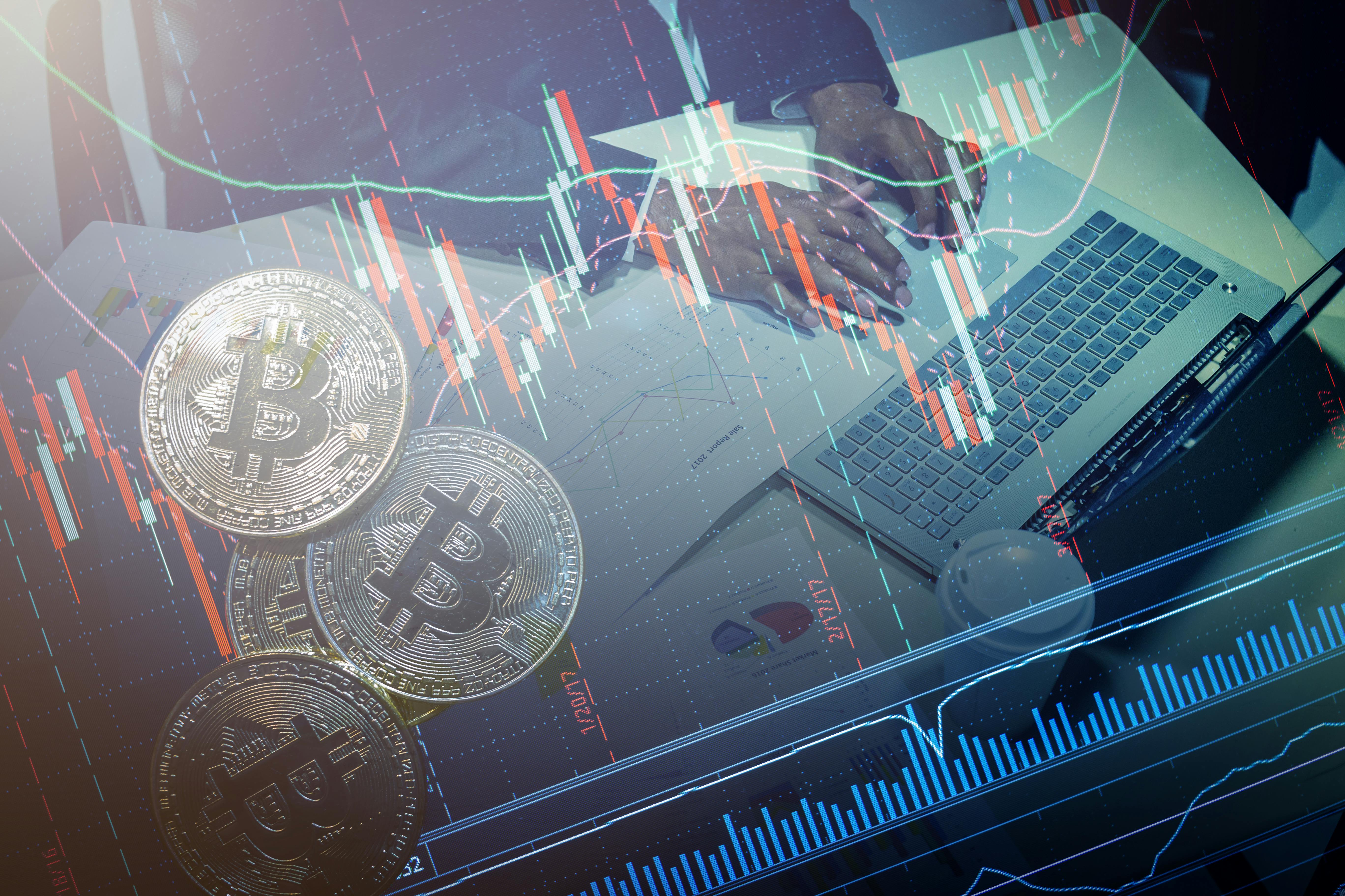 Crypto Market Hero
