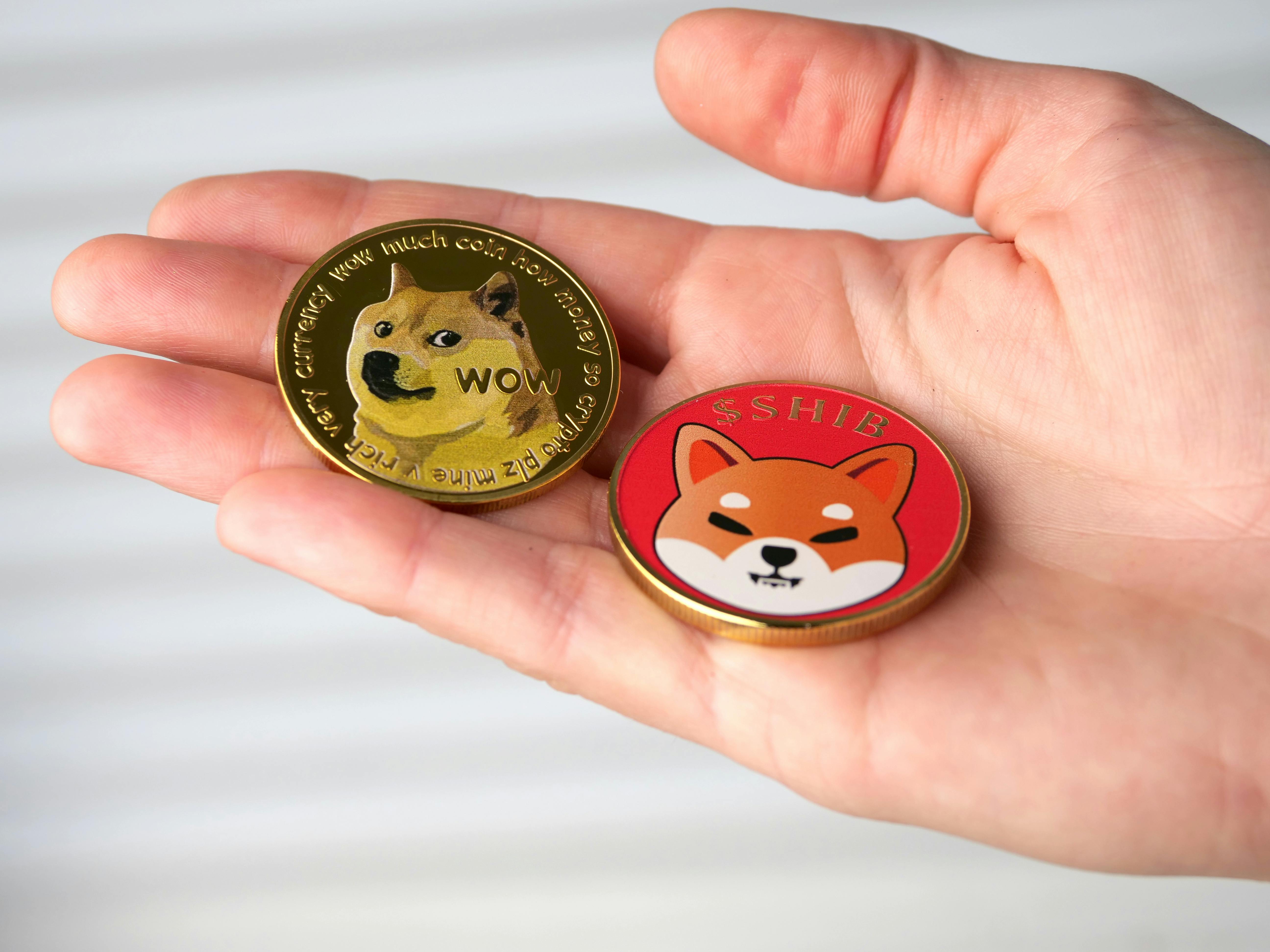 Doge and Shib Coin