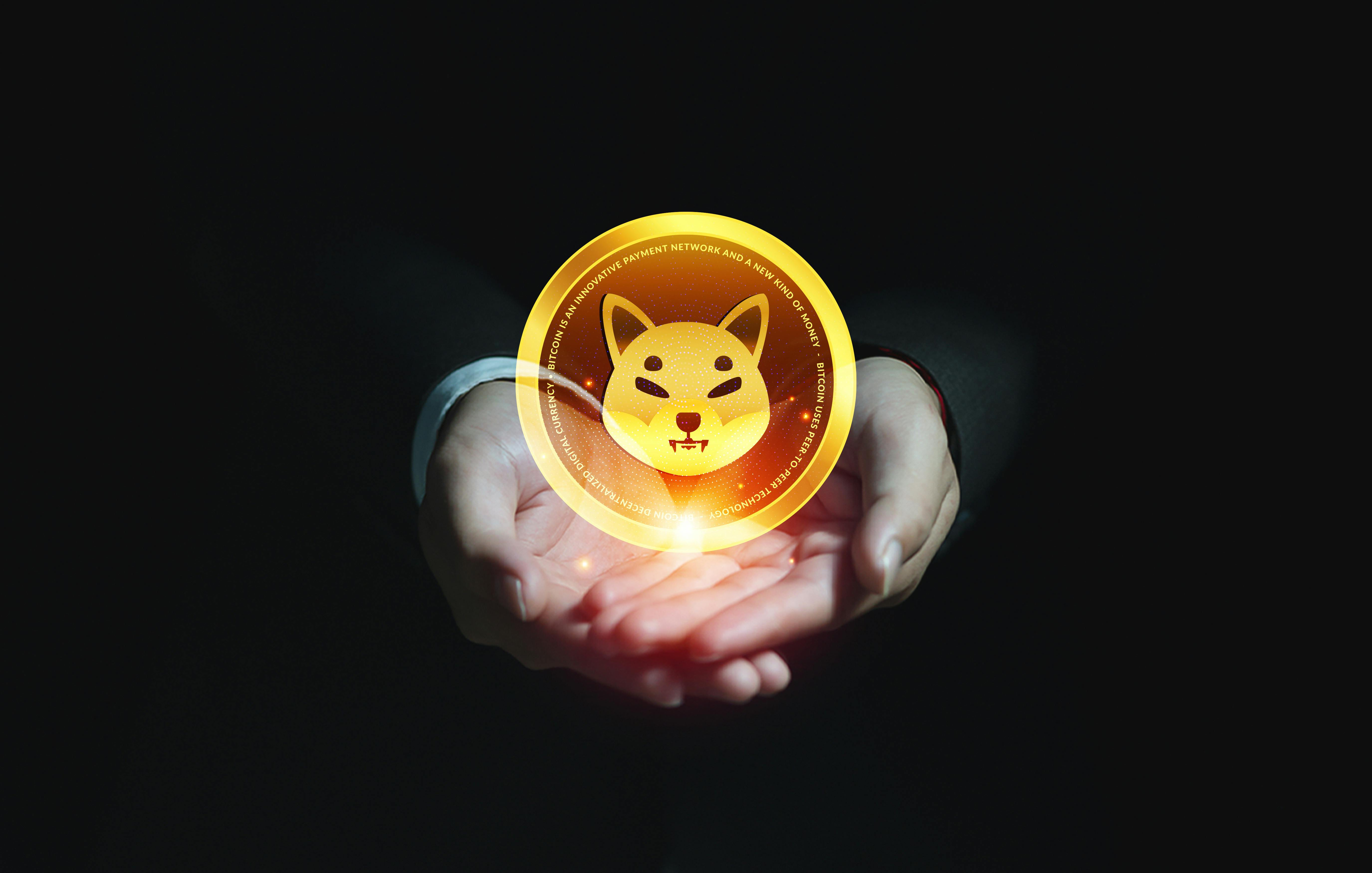 shiba inu coin