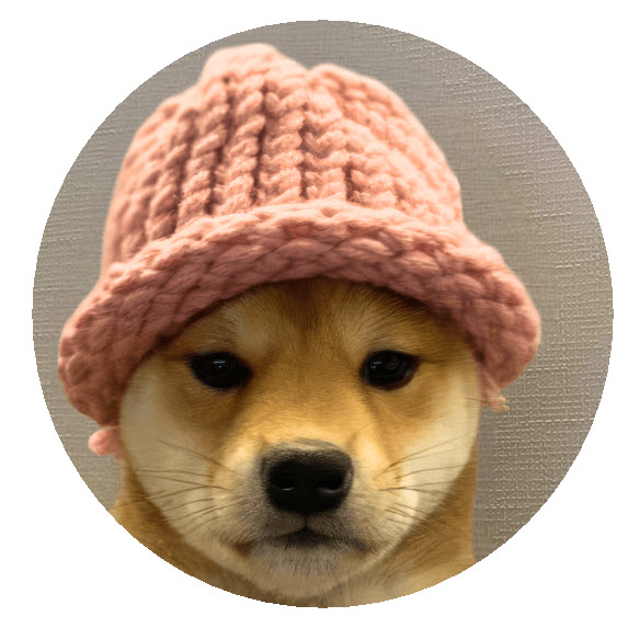 Just a doge with a knitted hat