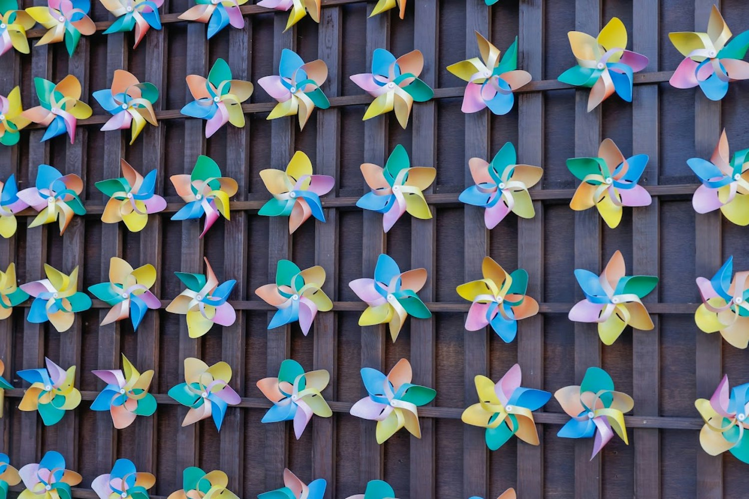 Snap a Photo by the Windmill Wall at Asakusa Kagetsudo